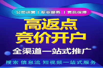 百度竞价广告与自然搜索排名的结合策略案例